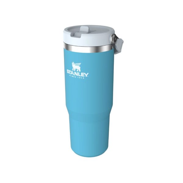 The Online Shop for Stanley IceFlow Flip Straw Tumbler
